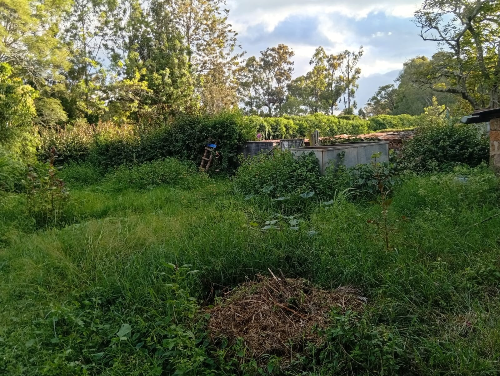 Freehold 1.1 Acre Land For Sale in Karen, Bogani Image