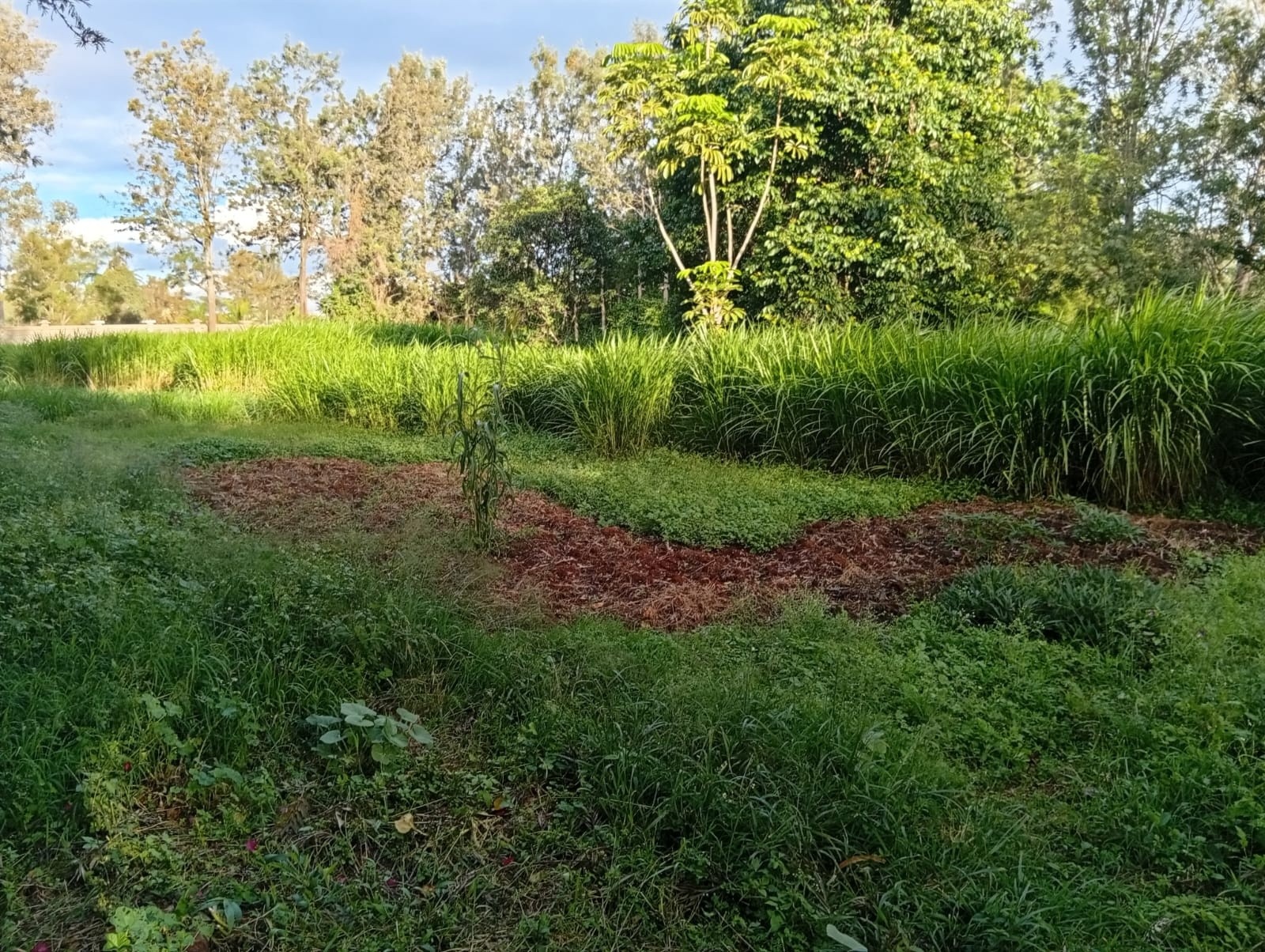 Freehold 1.1 Acre Land For Sale in Karen, Bogani