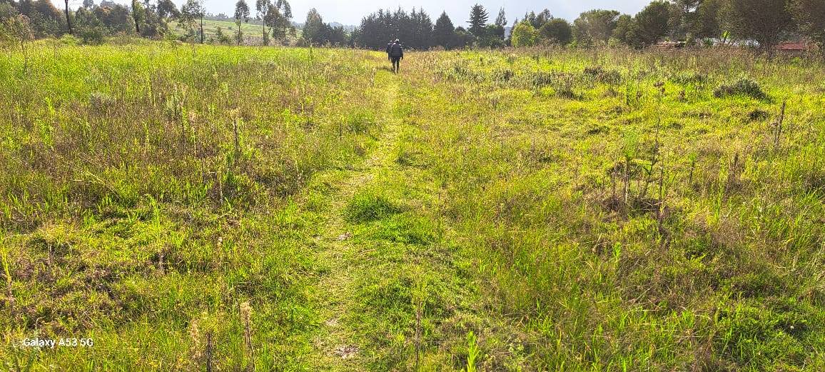 Half acre for sale in Karen, Hardy Image