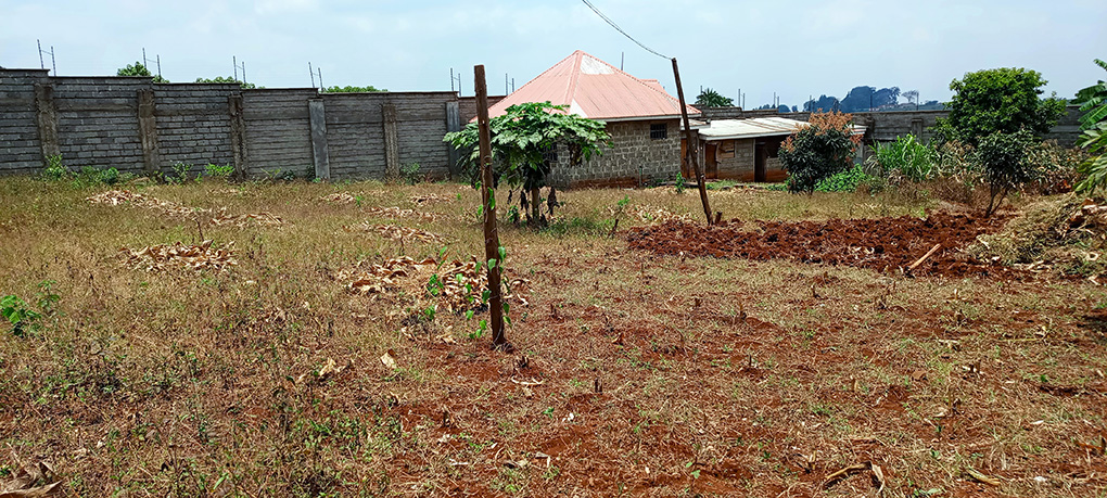 Half Acre Plot for Sale at Cianda, Off Kiambu Road Image