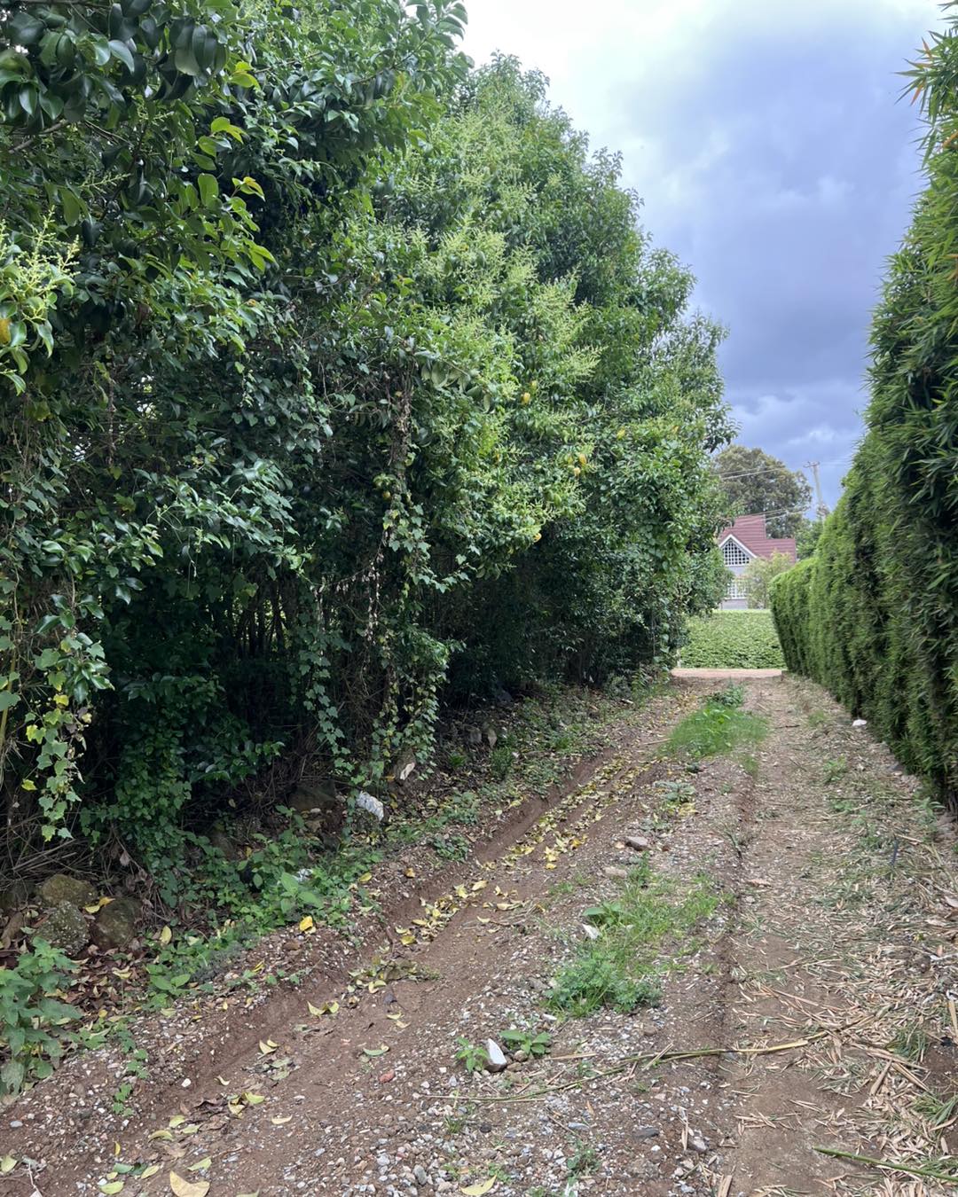 Half-Acre Plot For Sale in Karen KCB Area Image