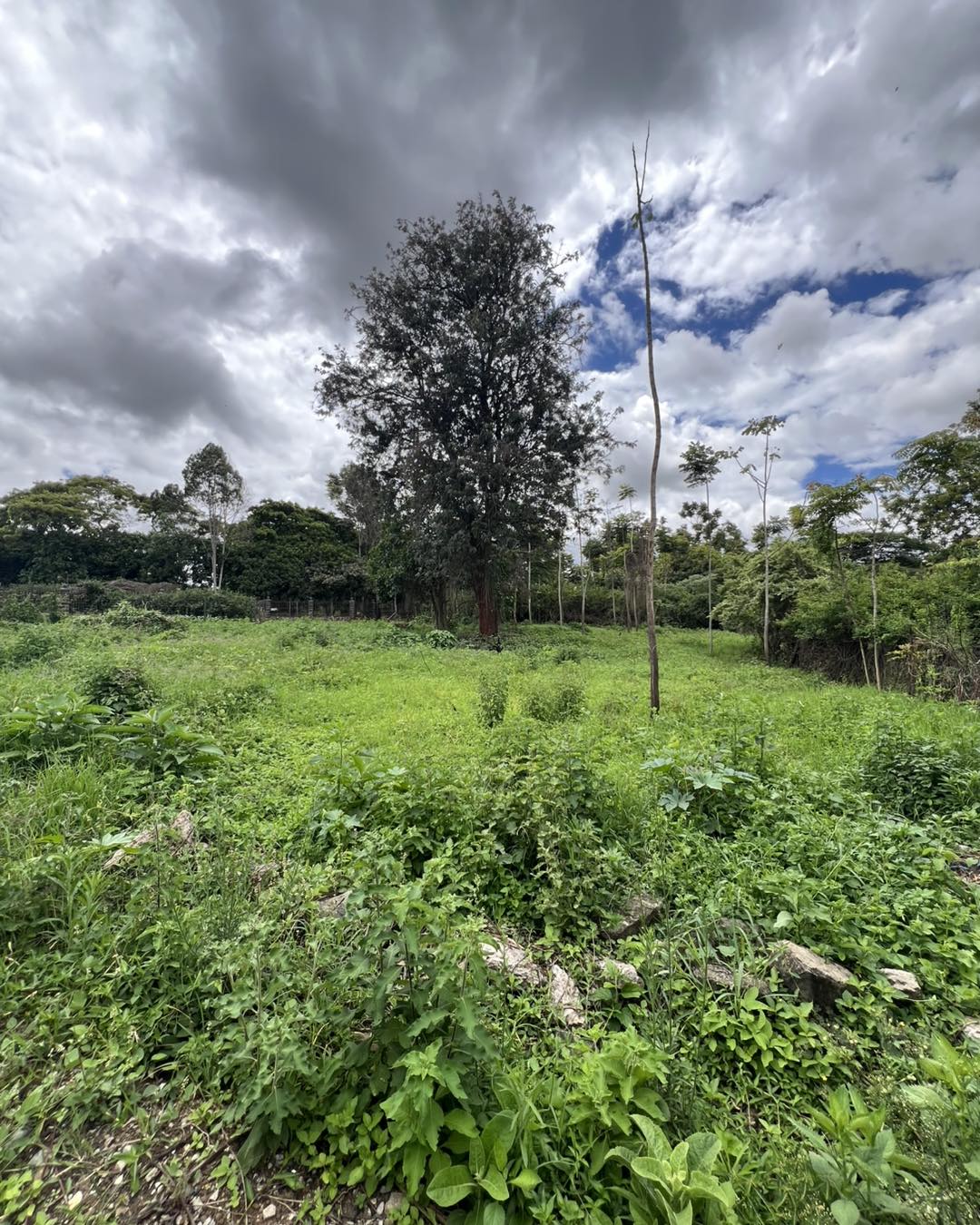 Half-Acre Plot For Sale in Karen KCB Area