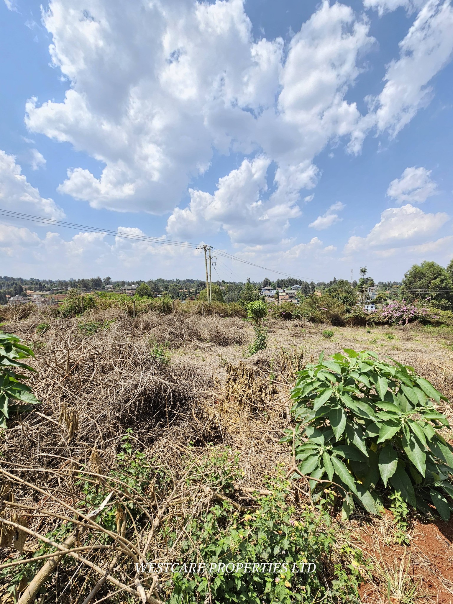 Half acre plot for sale in Kiukenda