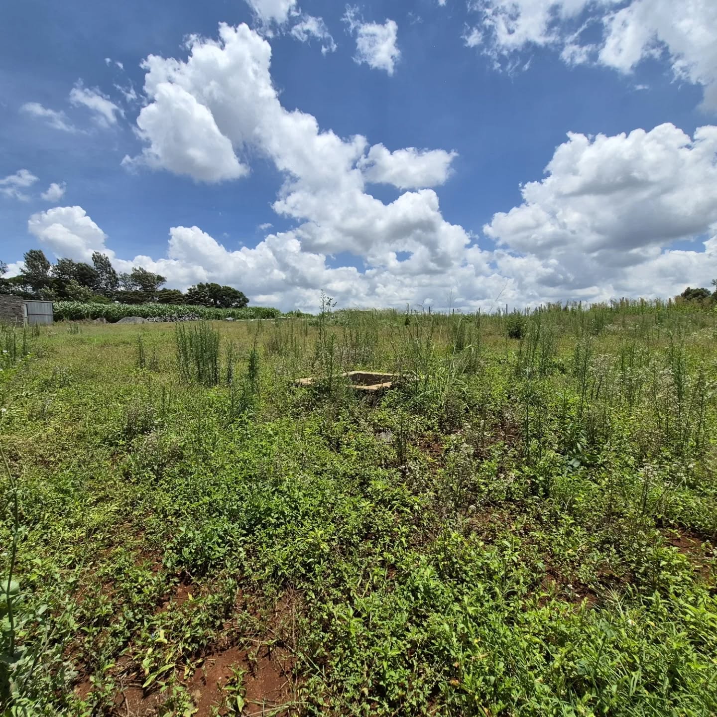 Half Acre Plot For Sale in Runda