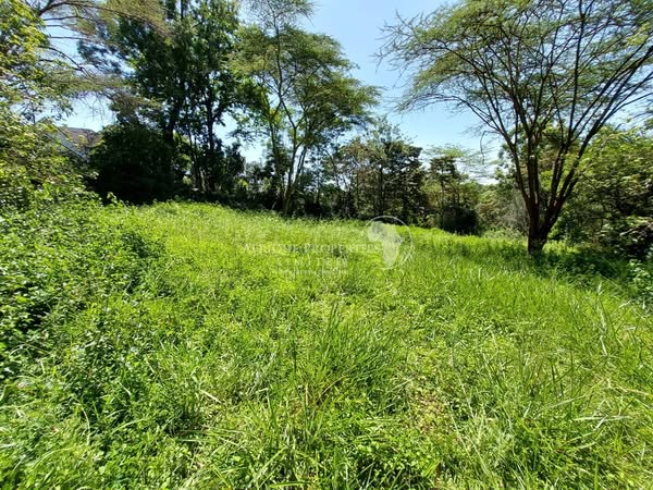 Half acre plots for sale in Old Runda