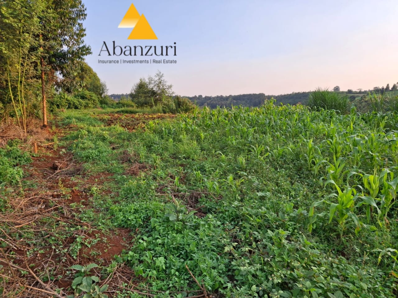 Half An Acre for SALE IN NDERI, KIKUYU.