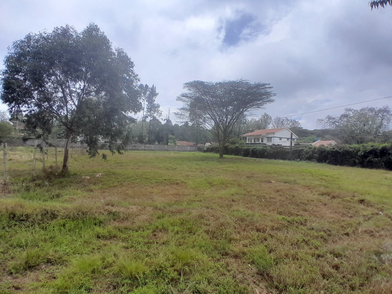 Half an acre land for sale in Karen