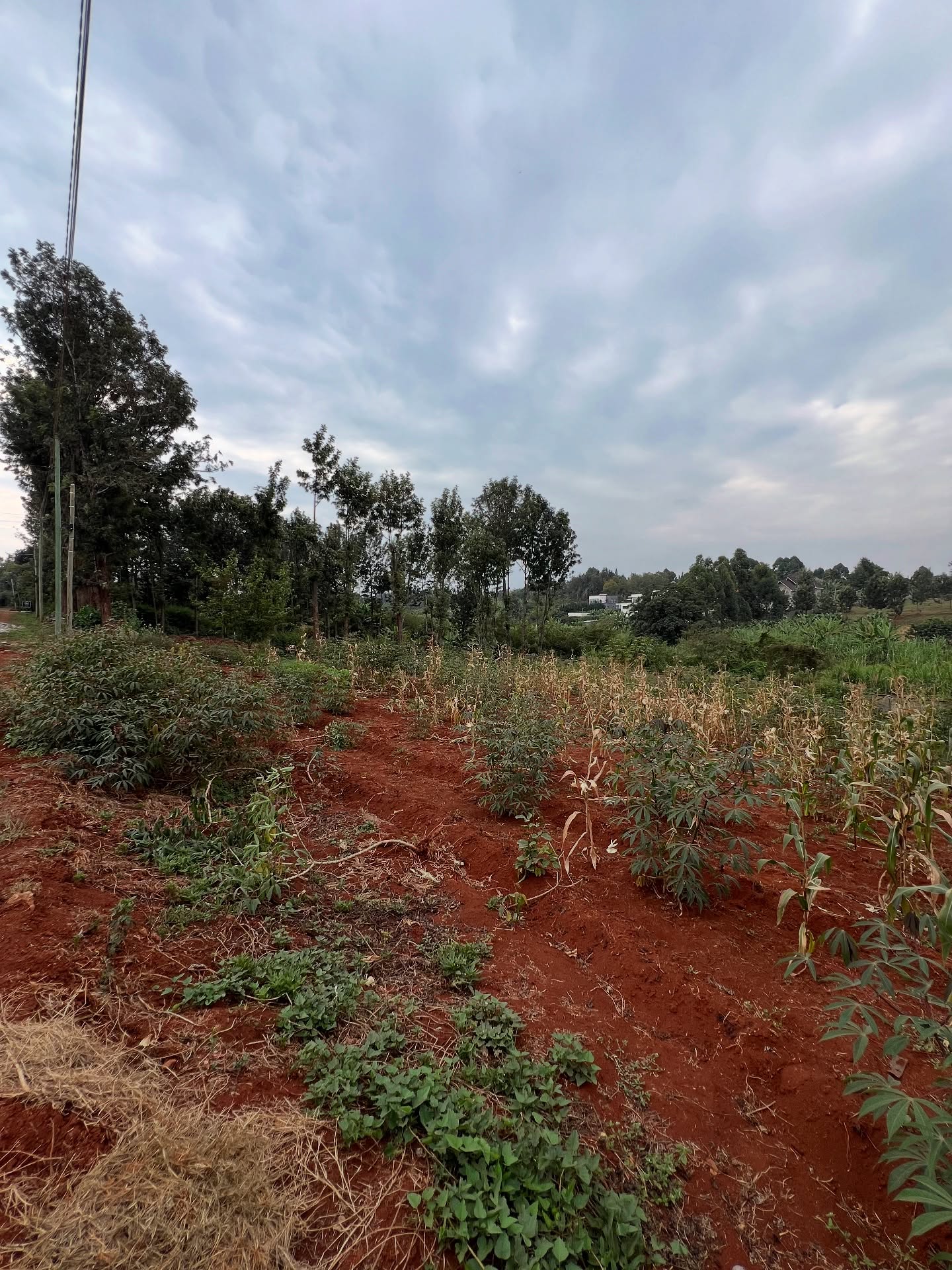 Half an acre land for sale in Kiambu Road Image
