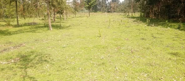 Half an acre plot for sale in Bomas, Karen