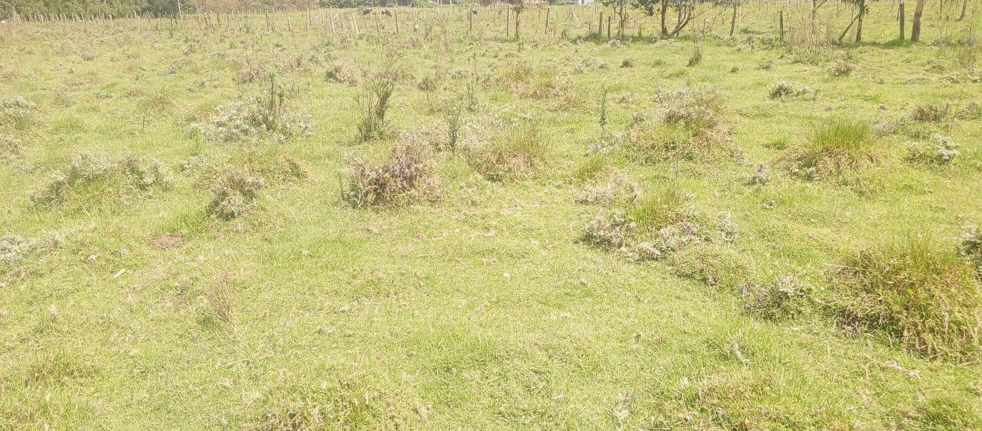 Half an acre plot for sale in Bomas, Karen Image