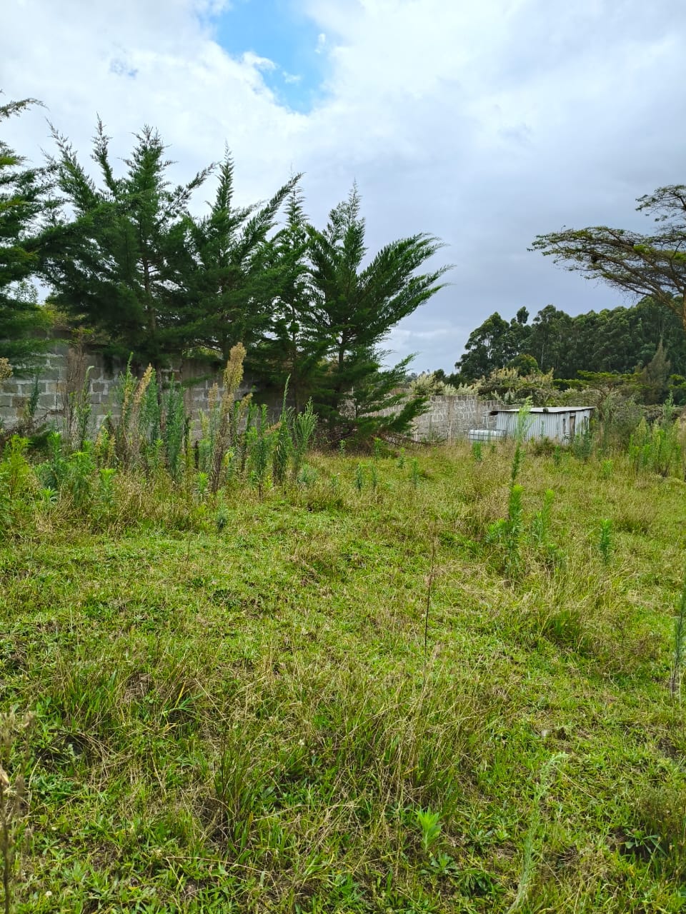 Half an acre plot for sale in Karen, Miotoni