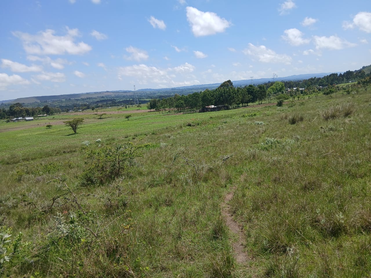 Half an acre plot for sale in Mukoma rd , Karen