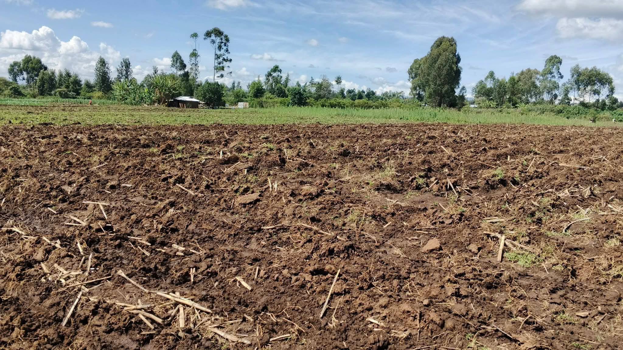 half an acre plot for sale in njoro, piave near kerma stage