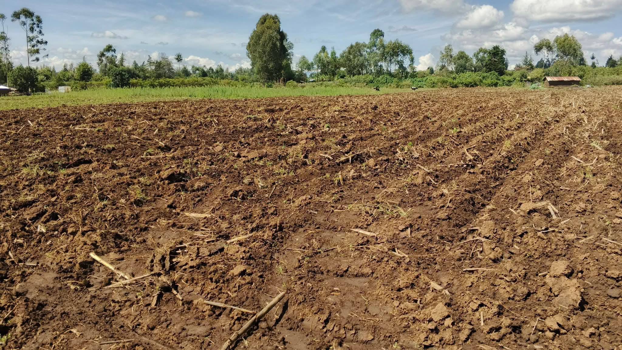 half an acre plot for sale in njoro, piave near kerma stage Image