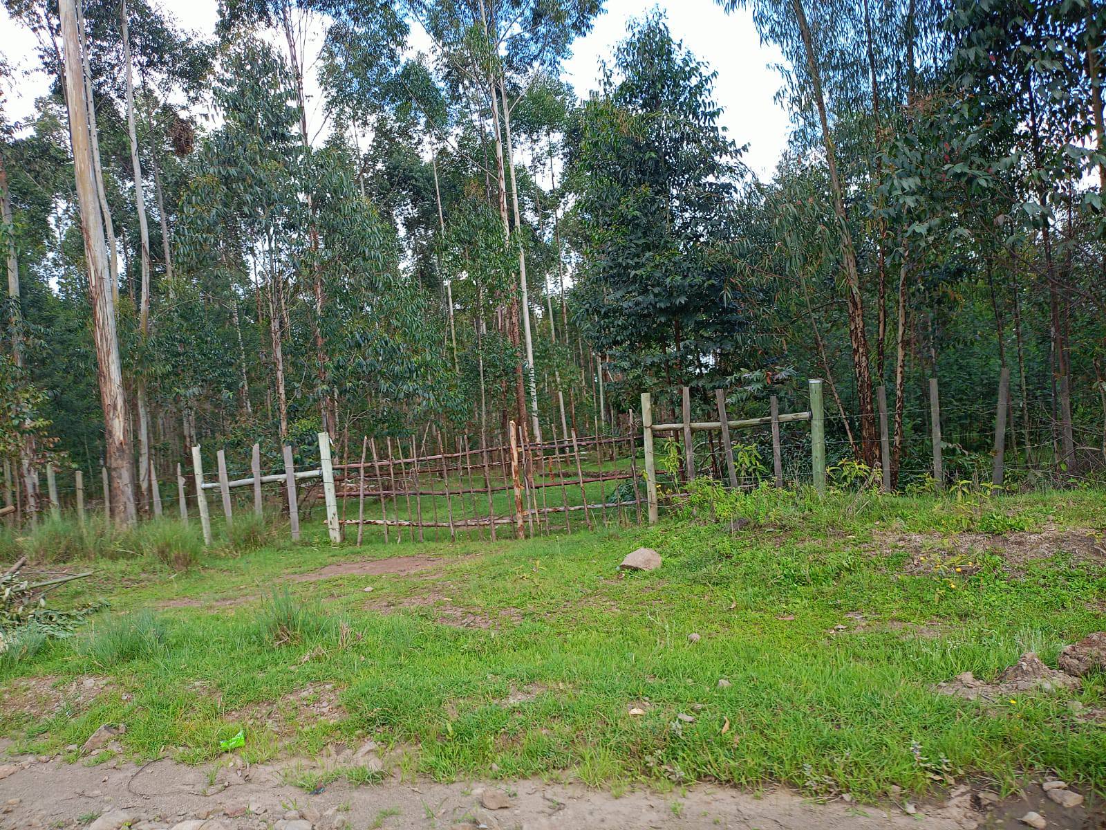 Half an acre prime plot for sale in Karen, Kuwinda rd