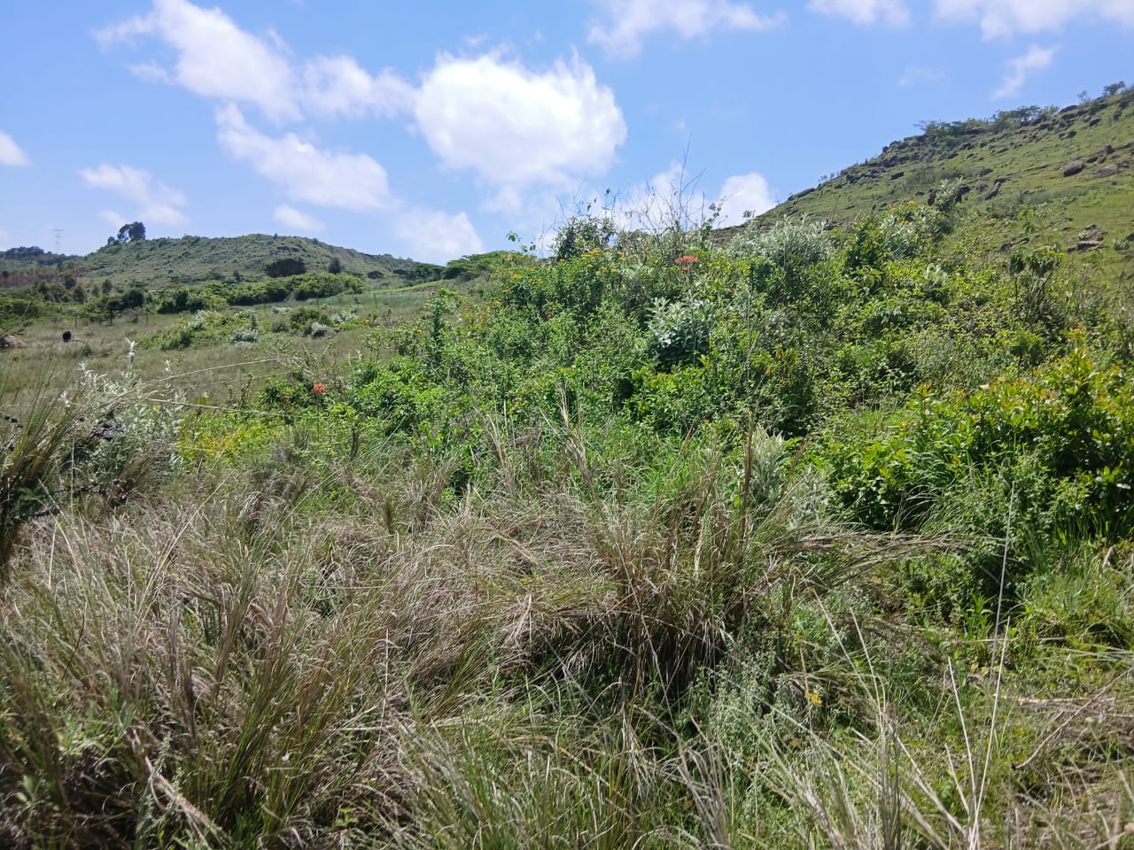 Half an acre prime plot for sale in Karen