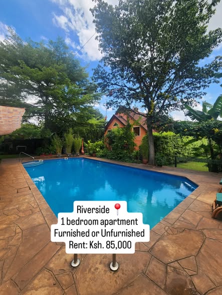 Homely 1 bedroom apartment to let in riverside