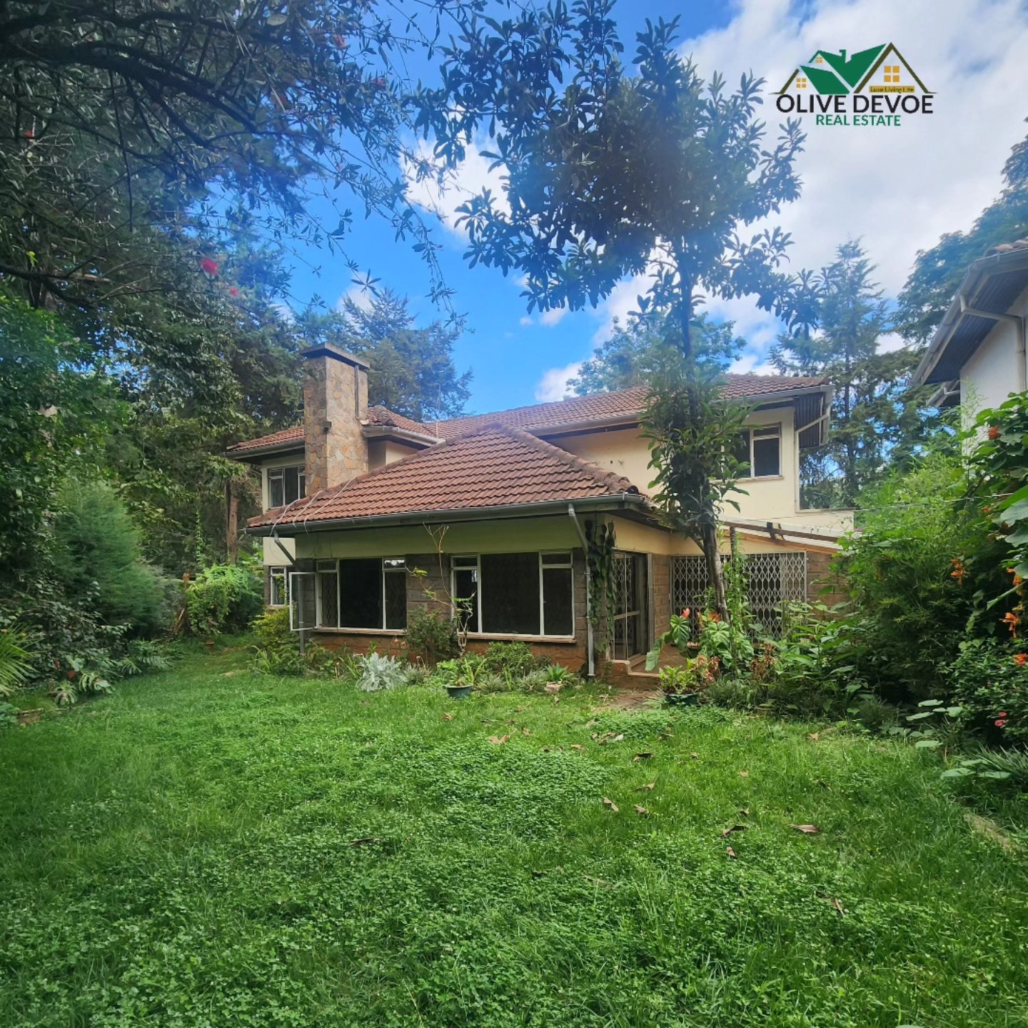 Homely 4 bedroom + Dsq massionate for rent in Lavington
