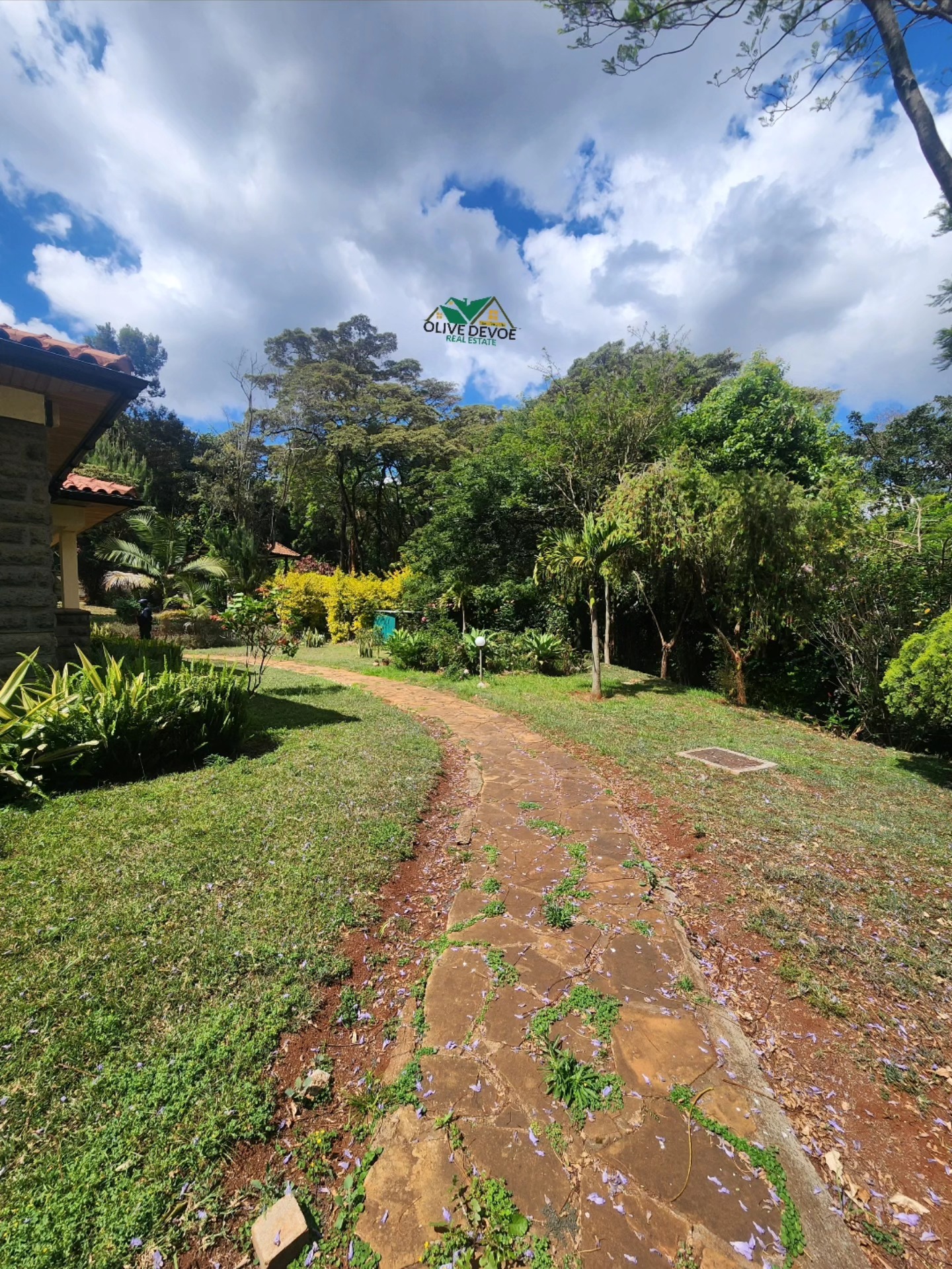 Homely 6 bedroom villa to let in Karen Image