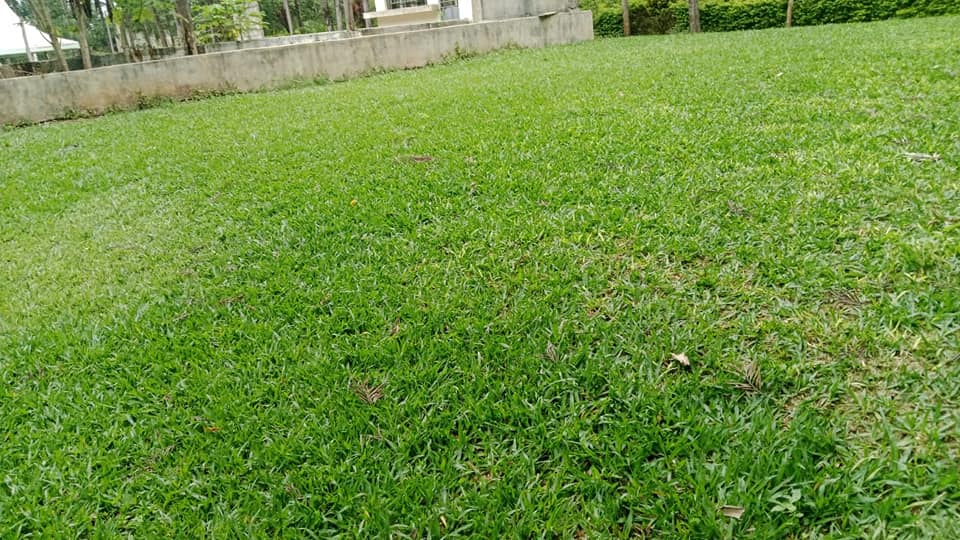 Hotel For Sale in Muranga Image
