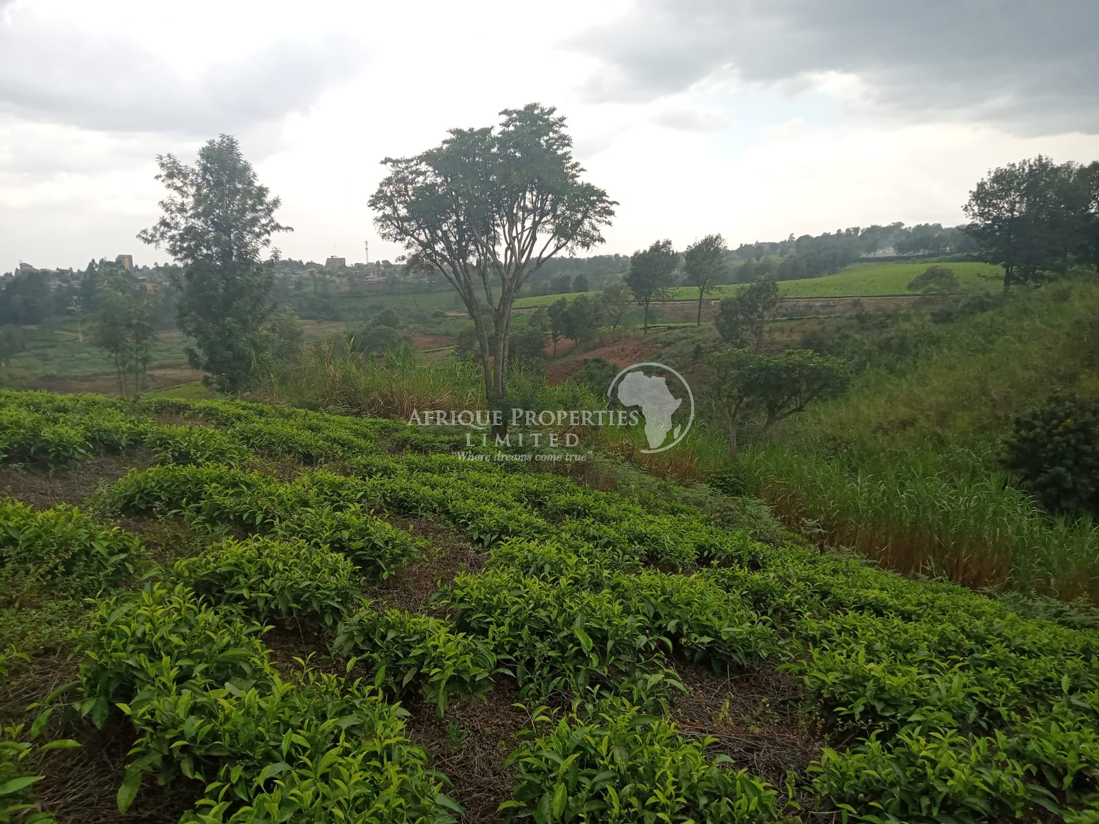 ๐ ๐๐๐ซ๐๐ฌ ๐๐๐ ๐
๐๐ซ๐ฆ ๐๐ข๐ฌ๐ญ๐ซ๐๐ฌ๐ฌ๐๐ ๐๐๐ฅ๐ in ๐๐ข๐ฆ๐จ๐ซ๐จ๐ซ๐ข, ๐๐ข๐๐ฆ๐๐ฎ ๐๐จ๐ฎ๐ง๐ญ๐ฒ Image