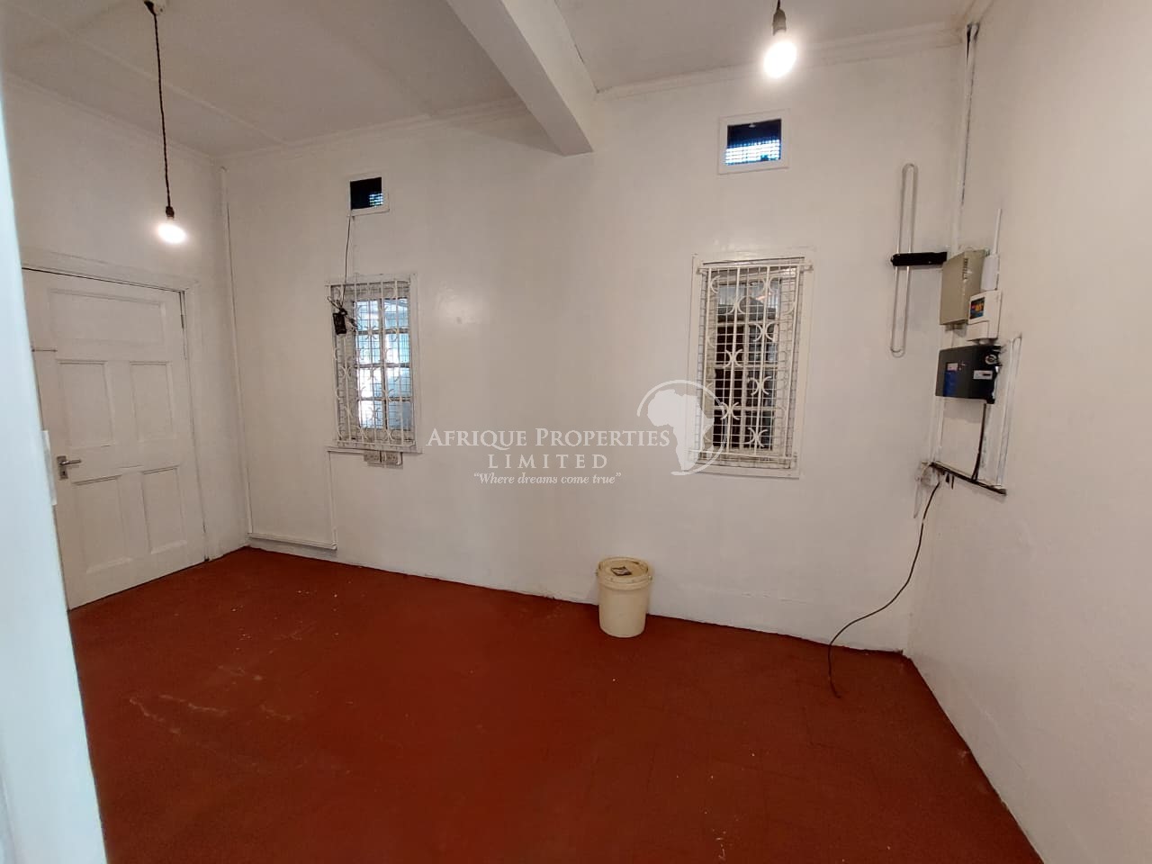 ๐๐จ๐ฆ๐ฆ๐๐ซ๐๐ข๐๐ฅ ๐๐๐๐ข๐๐ ๐๐จ ๐๐๐ญ in ๐๐ ๐๐ซ๐, ๐๐จ๐ฎ๐๐ก๐ข๐ง๐ ๐๐ฎ๐ซ๐๐ง๐ โ๐ ๐๐จ๐๐ Image