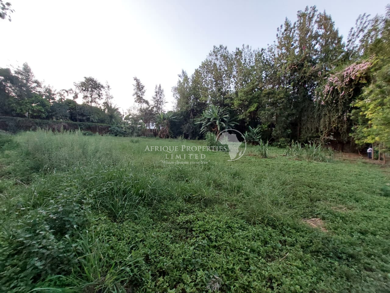 ๐๐ซ๐ข๐ฆ๐ ๐.๐ ๐๐๐ซ๐ ๐๐๐ฌ๐ข๐๐๐ง๐ญ๐ข๐๐ฅ ๐๐ฅ๐จ๐ญ ๐๐จ๐ซ ๐๐๐ฅ๐ in ๐๐ข๐๐ฆ๐๐ฎ ๐๐จ๐๐ Image