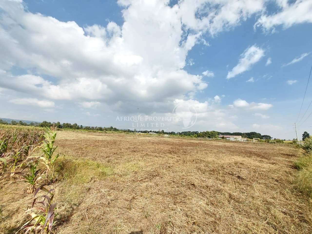 𝟓𝟎 𝐱 𝟏𝟎𝟎 𝐑𝐞𝐬𝐢𝐝𝐞𝐧𝐭𝐢𝐚𝐥 𝐏𝐥𝐨𝐭𝐬 𝐟𝐨𝐫 𝐒𝐚𝐥𝐞 in Naivasha
