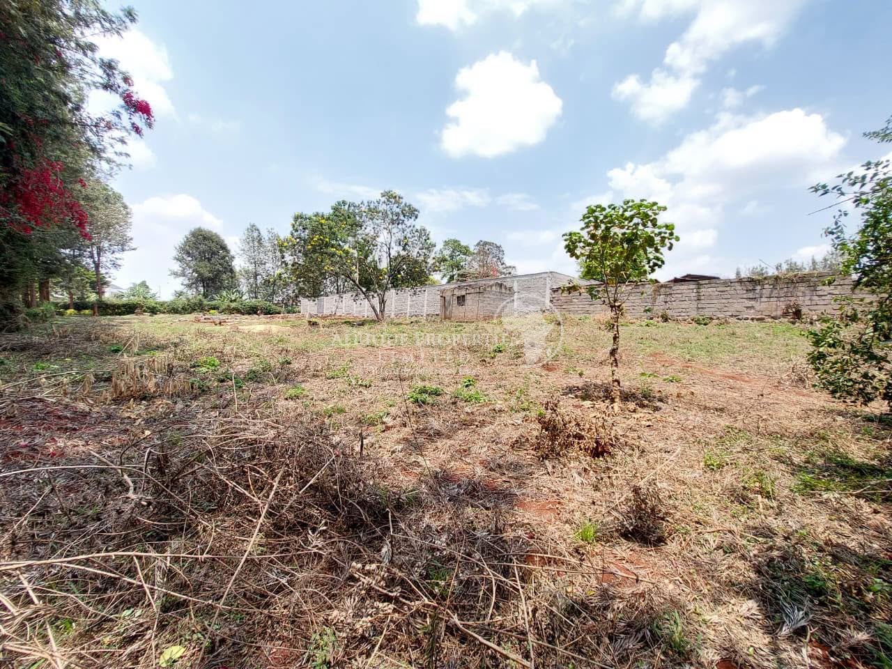 𝐏𝐫𝐢𝐦𝐞 ½ 𝐀𝐜𝐫𝐞 𝐑𝐞𝐬𝐢𝐝𝐞𝐧𝐭𝐢𝐚𝐥 𝐏𝐥𝐨𝐭 𝐅𝐨𝐫 𝐒𝐚𝐥𝐞 in runda