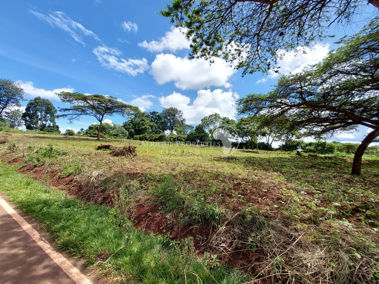 𝐏𝐫𝐢𝐦𝐞 𝐏𝐥𝐨𝐭𝐬 𝐟𝐨𝐫 𝐒𝐚𝐥𝐞 in 𝐌𝐢𝐠𝐚𝐚 𝐆𝐨𝐥𝐟 𝐄𝐬𝐭𝐚𝐭𝐞, 𝐊𝐢𝐚𝐦𝐛𝐮 Image