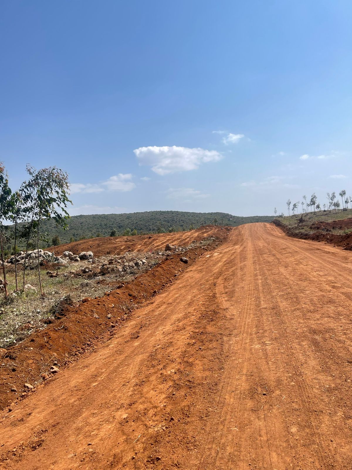 kikuyu plots for sale Image