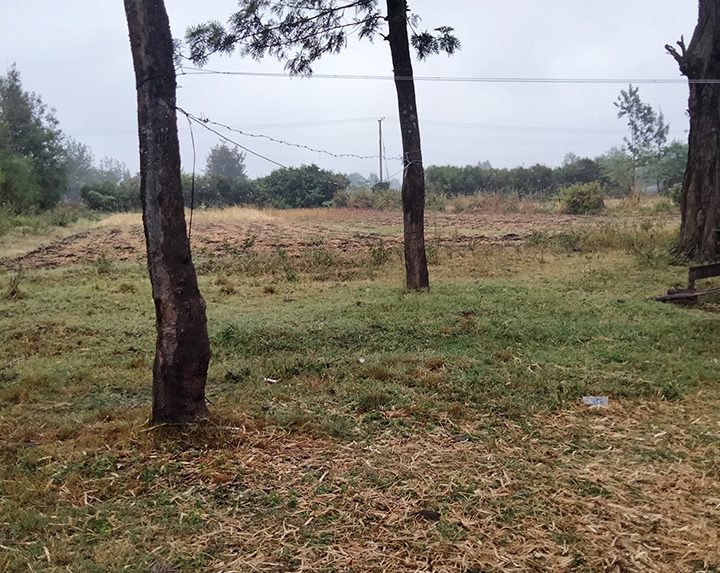 Land for Sale at Kenol Makuyu Image