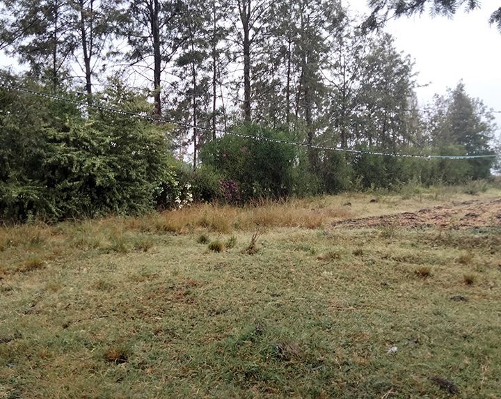 Land for Sale at Kenol Makuyu Image