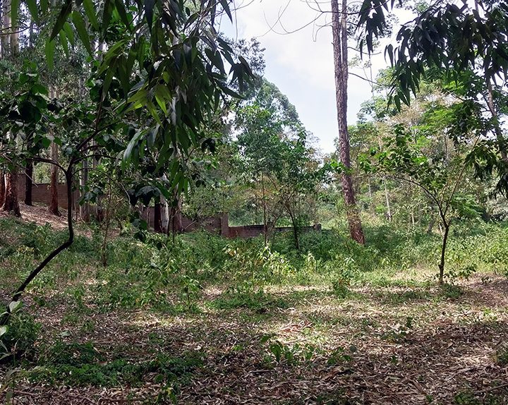 Land for Sale at Redhill Estate