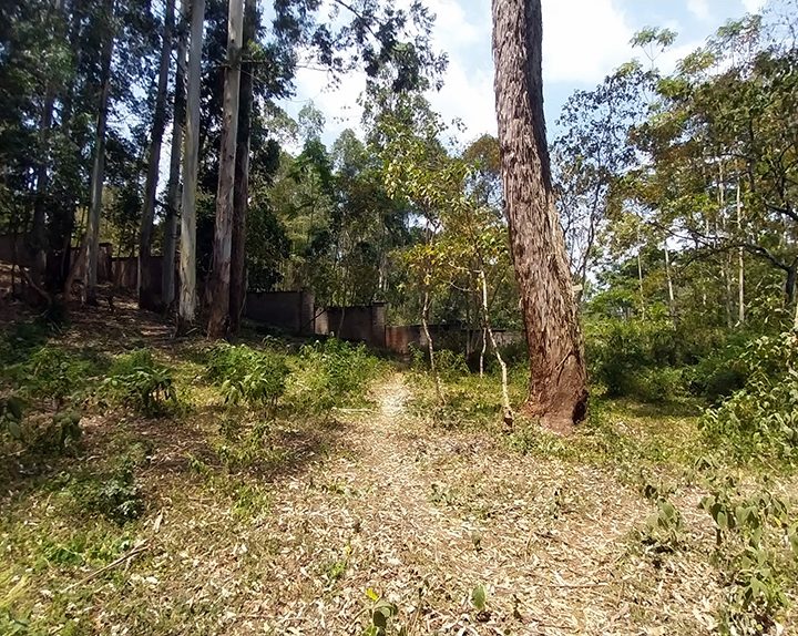 Land for Sale at Redhill Estate Image