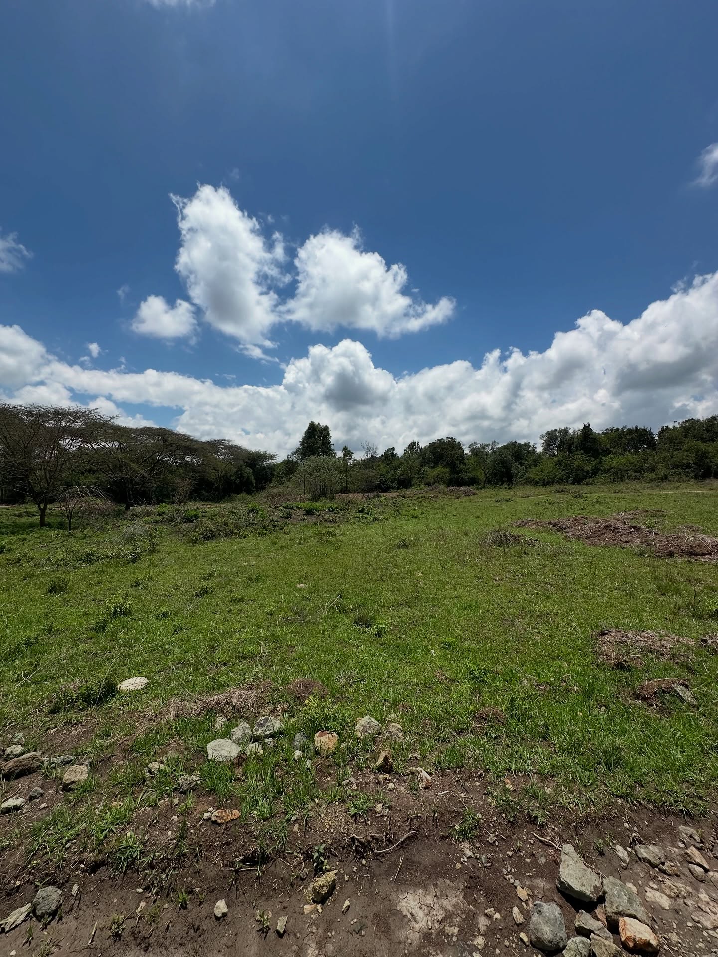 Land for sale in Karen Kephis Image