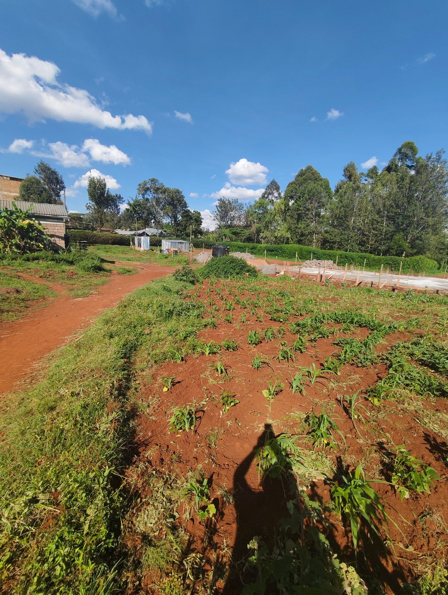 Land For Sale in Kibiko, Ngong