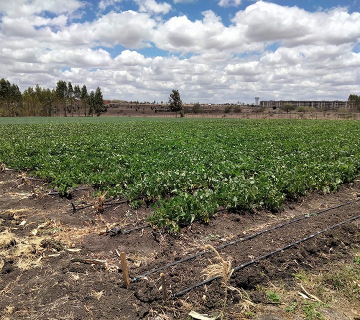 Land for Sale in Kisaju