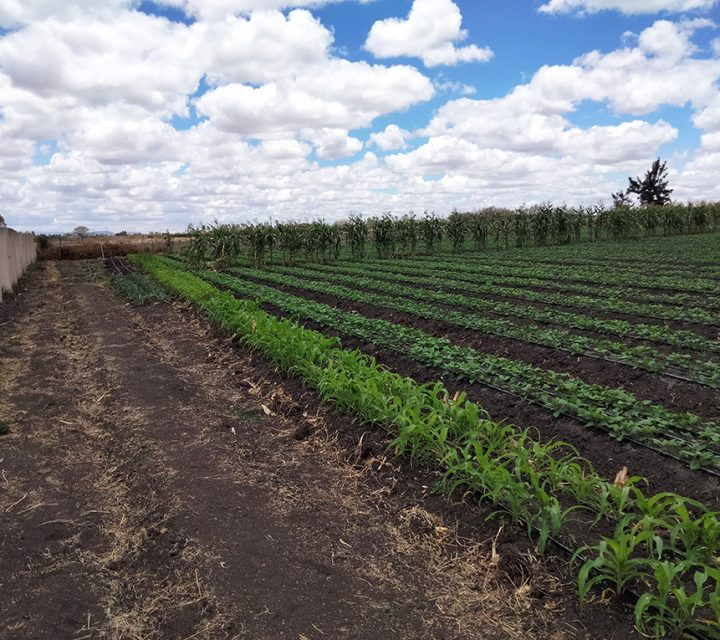 Land for Sale in Kisaju Image