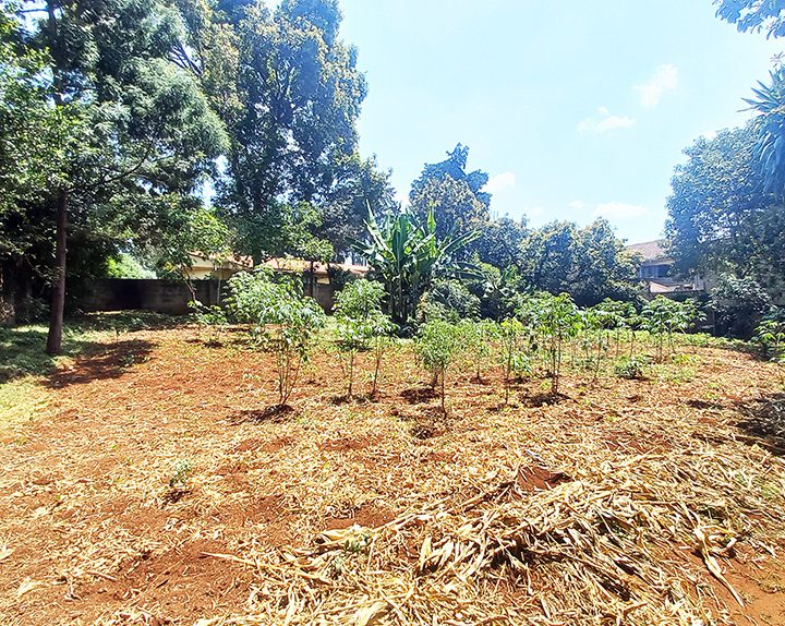 Land for Sale in Lavington