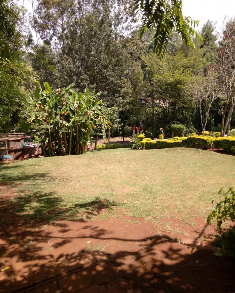 Land for sale in Lavington