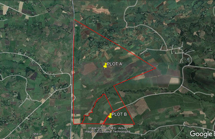 Land for Sale in Muhoroni