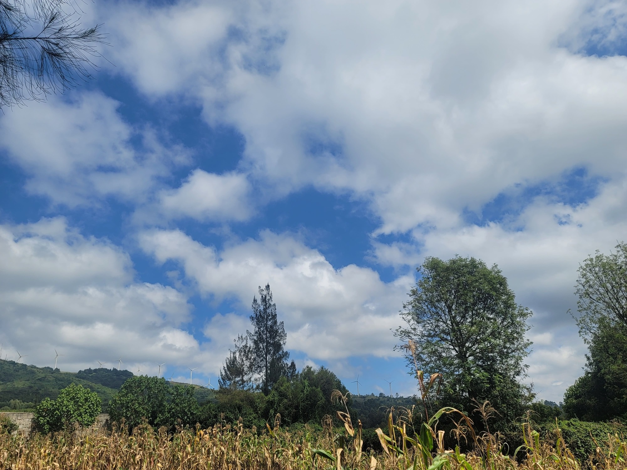 Land for sale in Ngong