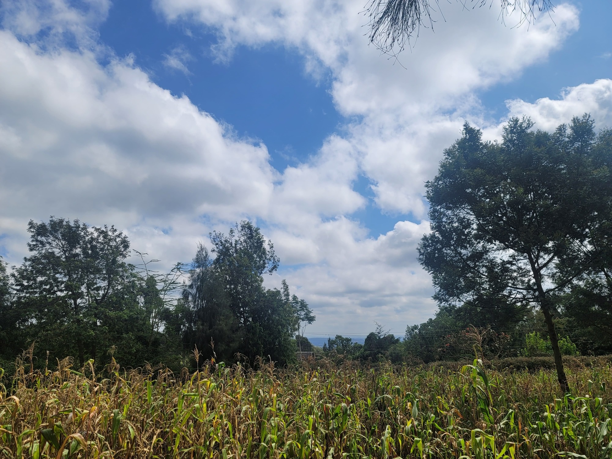 Land for sale in Ngong Image