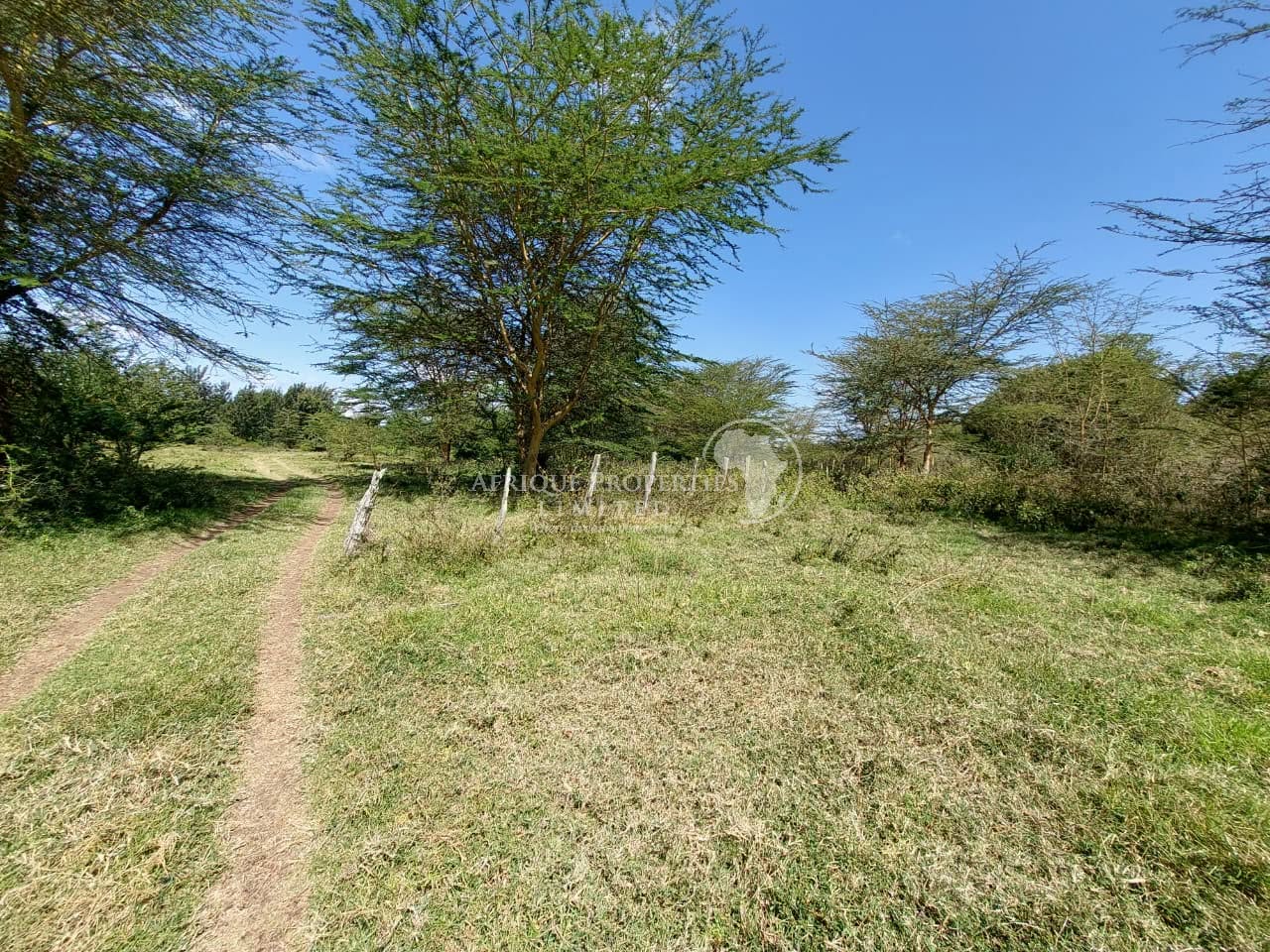 🌿 𝐏𝐫𝐢𝐦𝐞 𝟕.𝟓-𝐀𝐜𝐫𝐞 Land 𝐈𝐧𝐯𝐞𝐬𝐭𝐦𝐞𝐧𝐭 𝐏𝐫𝐨𝐩𝐞𝐫𝐭𝐲 𝐟𝐨𝐫 𝐒𝐚𝐥𝐞 – 𝐁𝐮𝐫𝐠𝐮𝐫𝐞𝐭, 𝐍𝐚𝐧𝐲𝐮𝐤𝐢 🌿