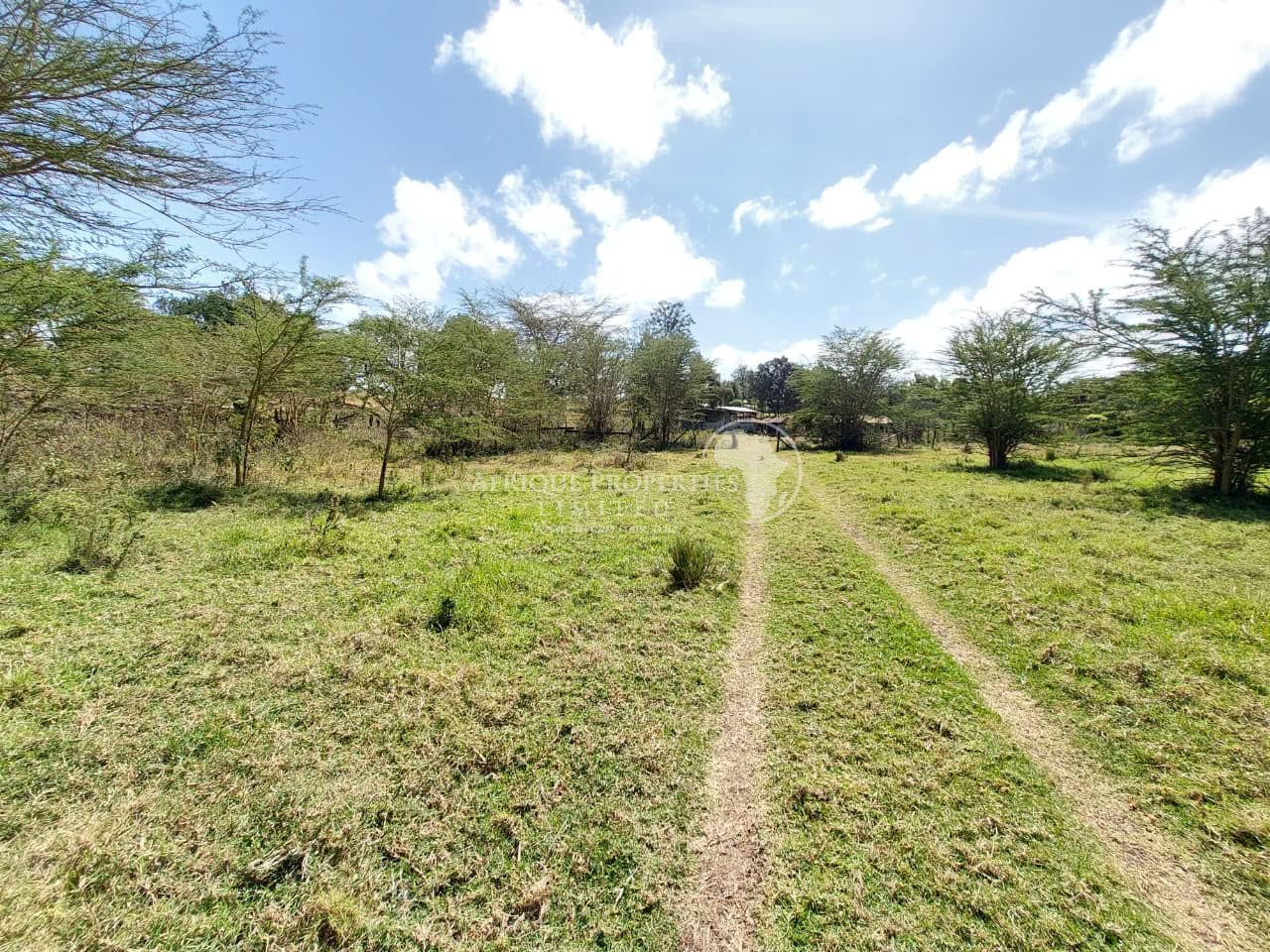 🌿 𝐏𝐫𝐢𝐦𝐞 𝟕.𝟓-𝐀𝐜𝐫𝐞 Land 𝐈𝐧𝐯𝐞𝐬𝐭𝐦𝐞𝐧𝐭 𝐏𝐫𝐨𝐩𝐞𝐫𝐭𝐲 𝐟𝐨𝐫 𝐒𝐚𝐥𝐞 – 𝐁𝐮𝐫𝐠𝐮𝐫𝐞𝐭, 𝐍𝐚𝐧𝐲𝐮𝐤𝐢 🌿 Image