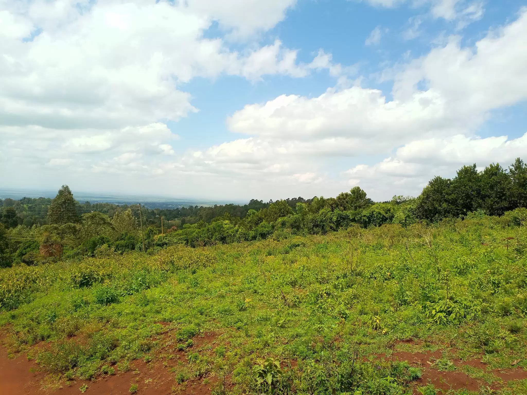 2 acres plot for sale in Nyari along Redhill road