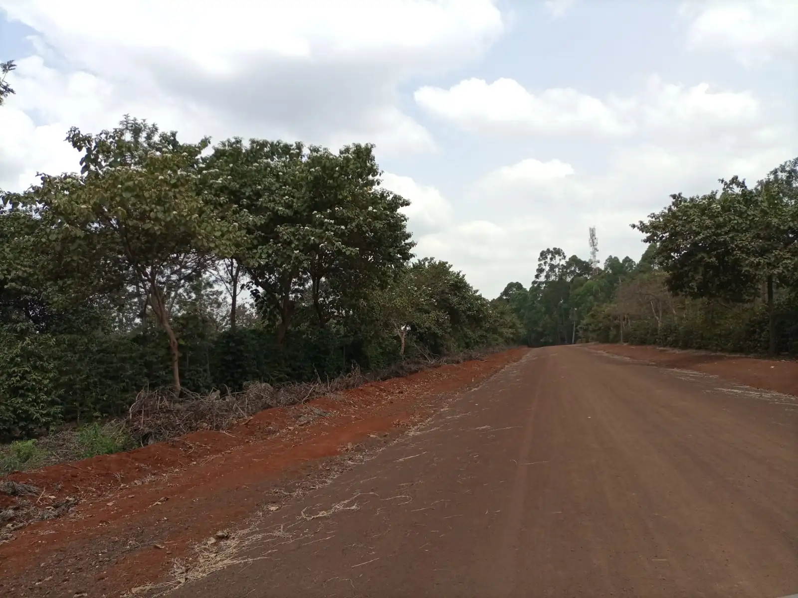 A quatre and an eighth acre Land for sale in Ruiru