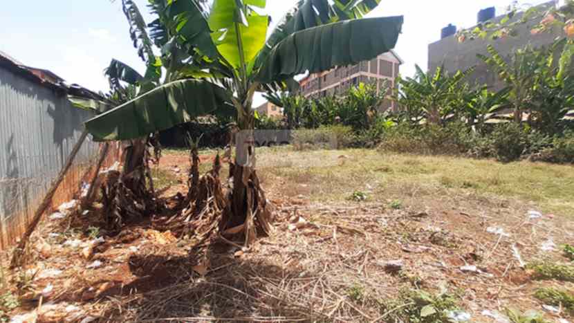 0.0712 acre Land for sale in Marurui Thome