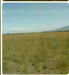 0.25 acre plot for sale in Kantafu Kangundo road